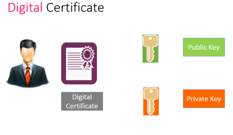 Disegno di un certificato digitale con chiave pubblica e chiave privata.